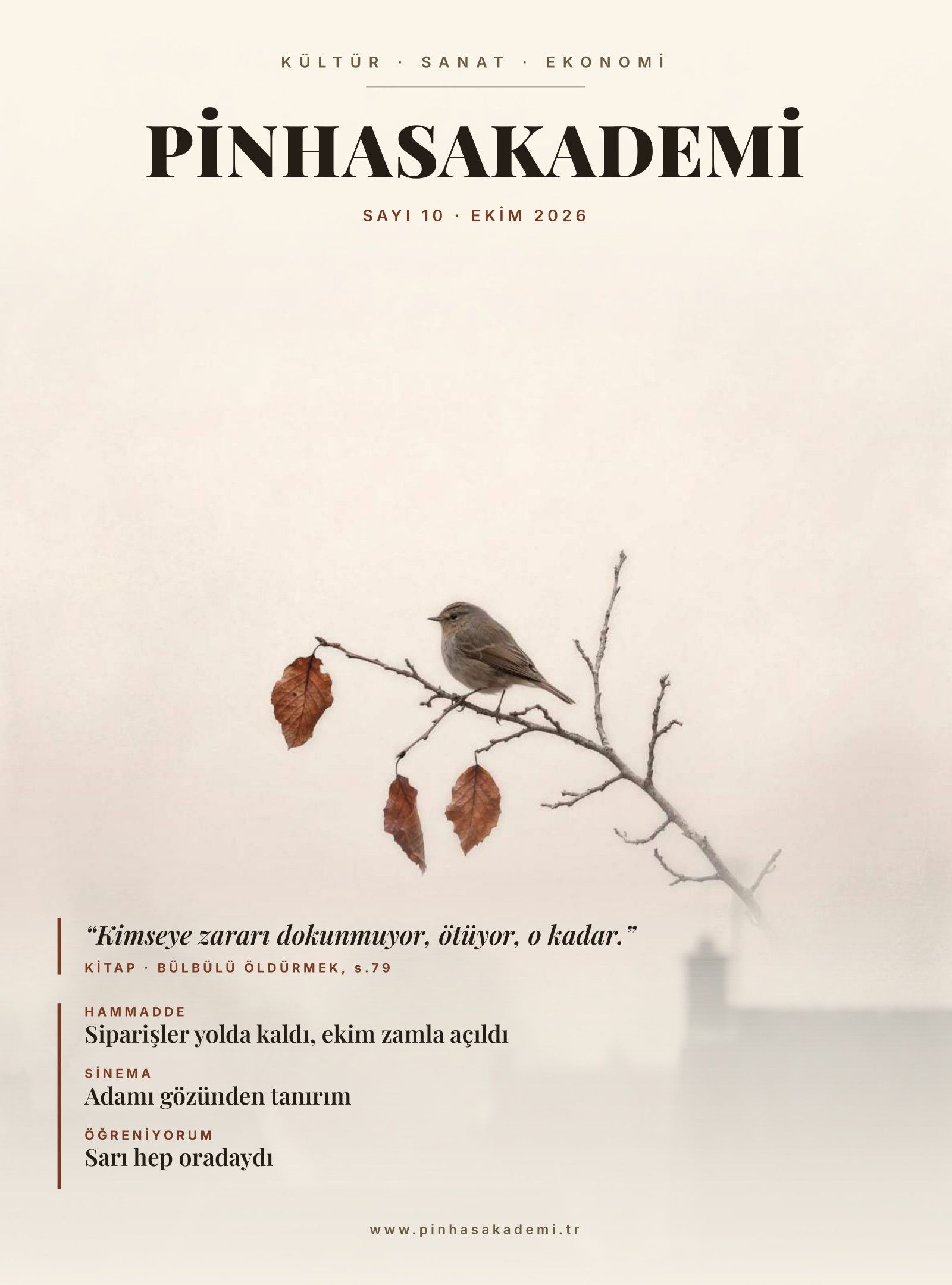 PİNHASAKADEMİ Sayı 10 · Ekim 2026 kapağı